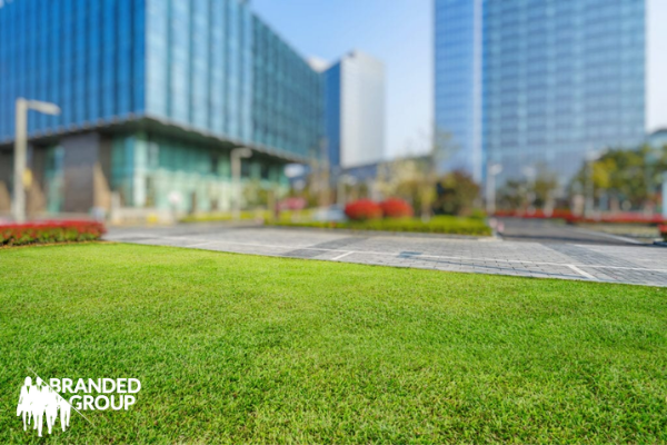 Commercial lawn care green grass.